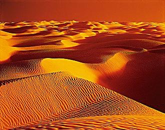 生存种田游戏《莱恩的岛屿》上线steam 月底正式发售