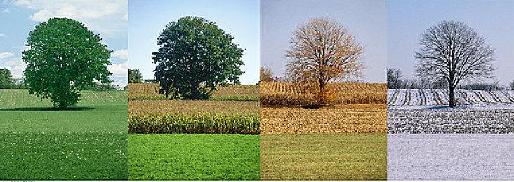 《木卫四协议》与《模拟农场22》或将加入PS+会免